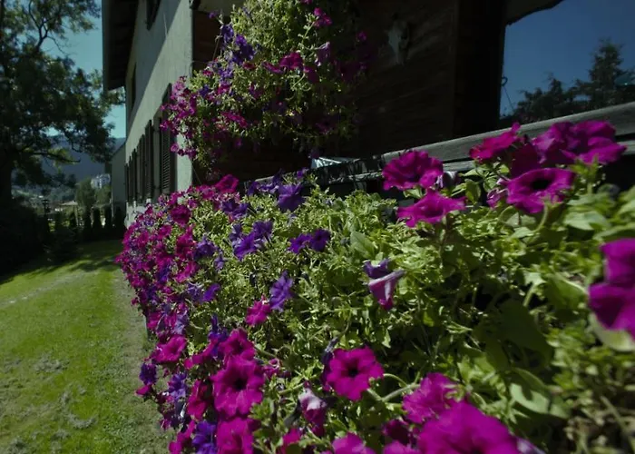 White Pearl Apartment Apartment Murau